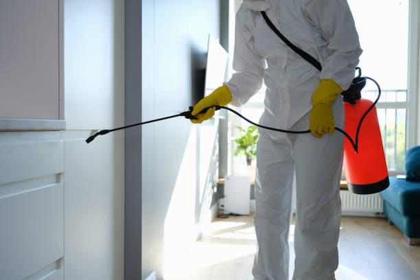 Certified Mold Removal in Feasterville, PA